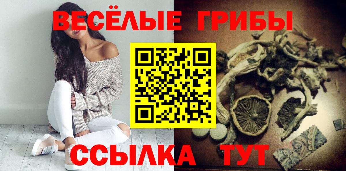 закладки  Псилоцибиновые грибы MAGIC MUSHROOMS  Вход с VPN  Москва 